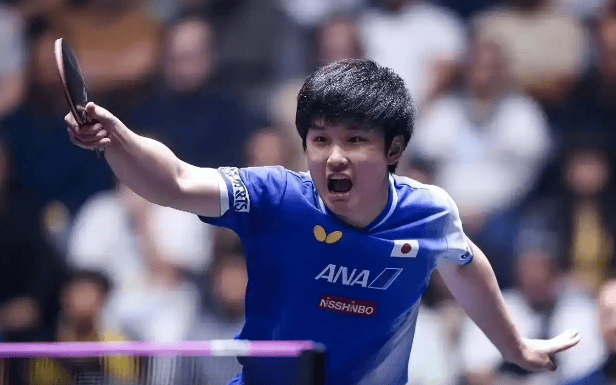 法国队完胜英格兰队，张本智和点燃赛场的简单介绍