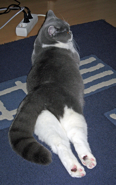 一球封神,马丁内利惊世一击背后的千年孤独