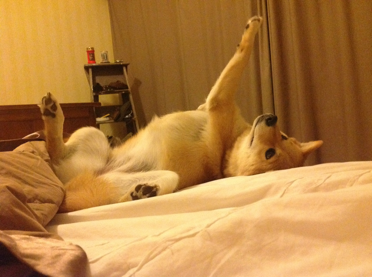 一球封神,马丁内利惊世一击背后的千年孤独