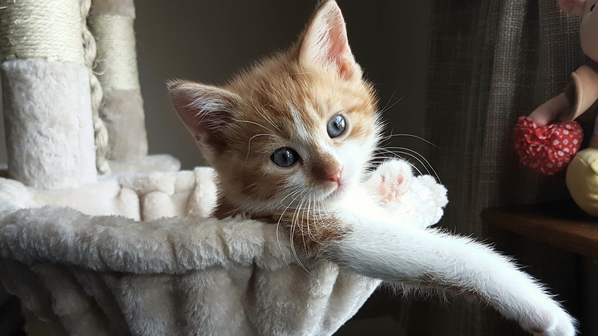 钢铁锋线筑起叹息之墙,英格拉姆奥运前关键战宣告王者归来