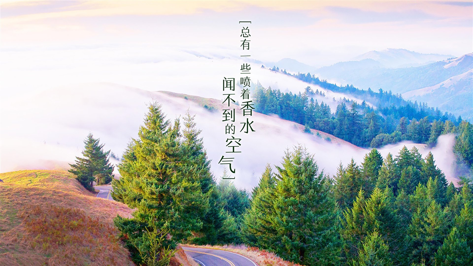 马刺新星初露锋芒？不，是步行者指挥官借费城舞台上演数据魔术