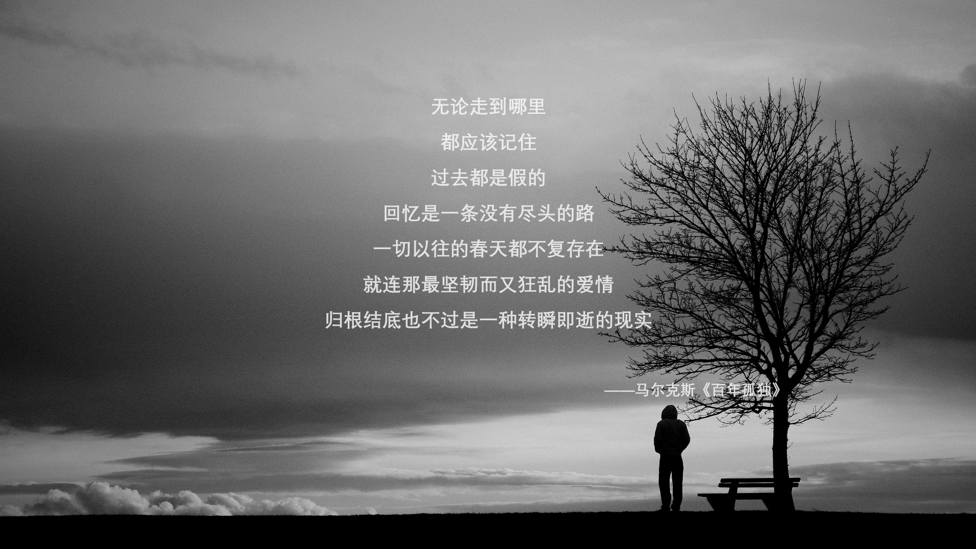 引擎轰鸣与绿茵狂奔，F1揭幕战之夜见证努涅斯的教科书级表演