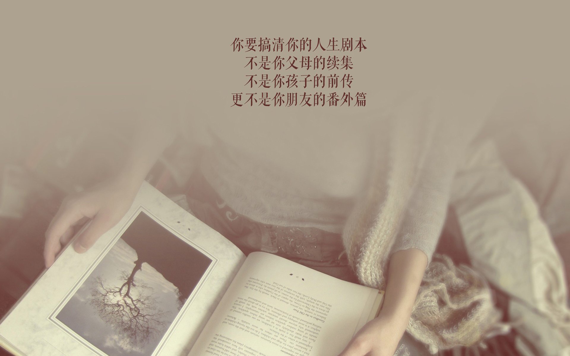 极光破晓，2026世界杯G组，当冰岛战吼撞上挪威海盗，阿诺德如何用一记天外飞仙定义北欧唯一的史诗