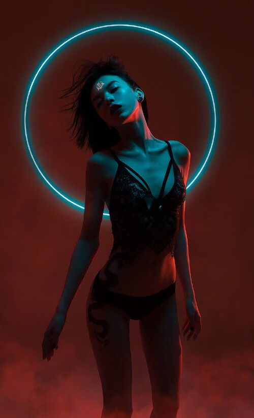 碾压与逆转,2026世界杯揭幕战的时空裂痕—范戴克降临,越南神话诞生